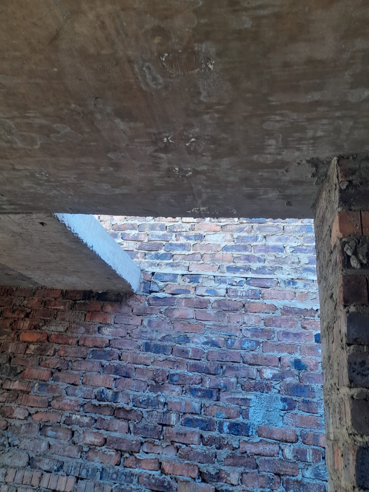 gallery16